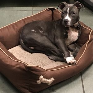 Meet your Posher, Ruby